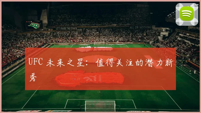 UFC 未来之星：值得关注的潜力新秀